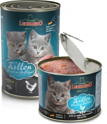 LEONARDO LATAS QUALITY SELECTION KITTEN1