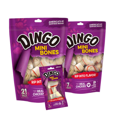 DINGO MINI BONE1