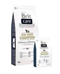 BRIT CARE DOG SHOW CHAMPION