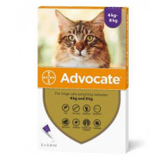 ADVOCATE PIPETA GATO 4-8 KG
