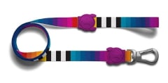 PRISMA LEASH