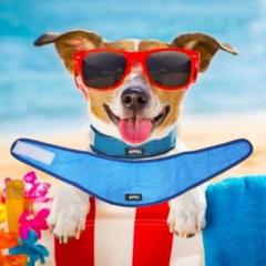 PAWISE BANDANA ENFRIAMIENTO