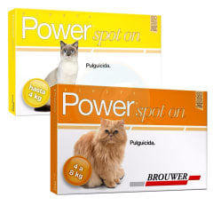 POWER SPOT ON