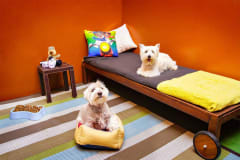HOTEL CANINO
