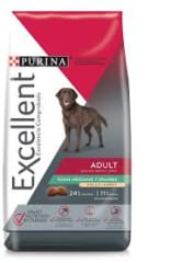 EXCELLENT ADULT MEDIUM-LARGE BREED