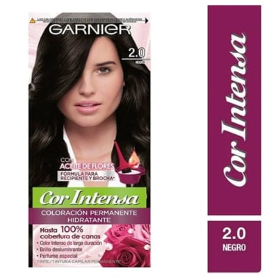 TINTURA GARNIER NEGRO N°2