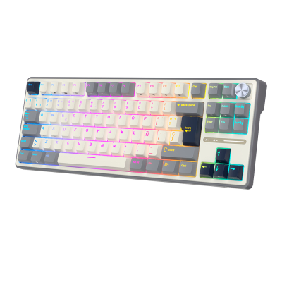 TECLADO MECANICO ROYAL KLUDGE RK-R87PRO ALAMBRICO (SW-CREAMY)-HALF GREY1