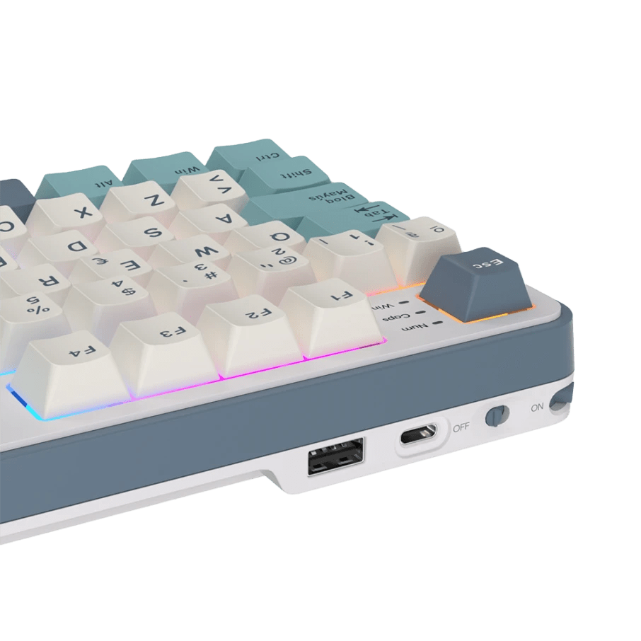 TECLADO MECANICO ROYAL KLUDGE RK-S98 INALAMBRICO 2.4 BT (SW-CHARTREUSE)-BLACKBERRY MOUSE15