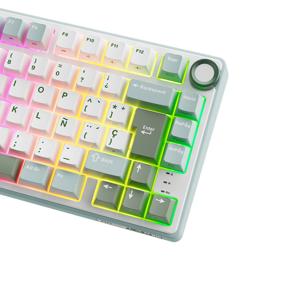 TECLADO MECANICO ROYAL KLUDGE RK-R75 ALAMBRICO (SW-KSILVER)-SKY CYAN5