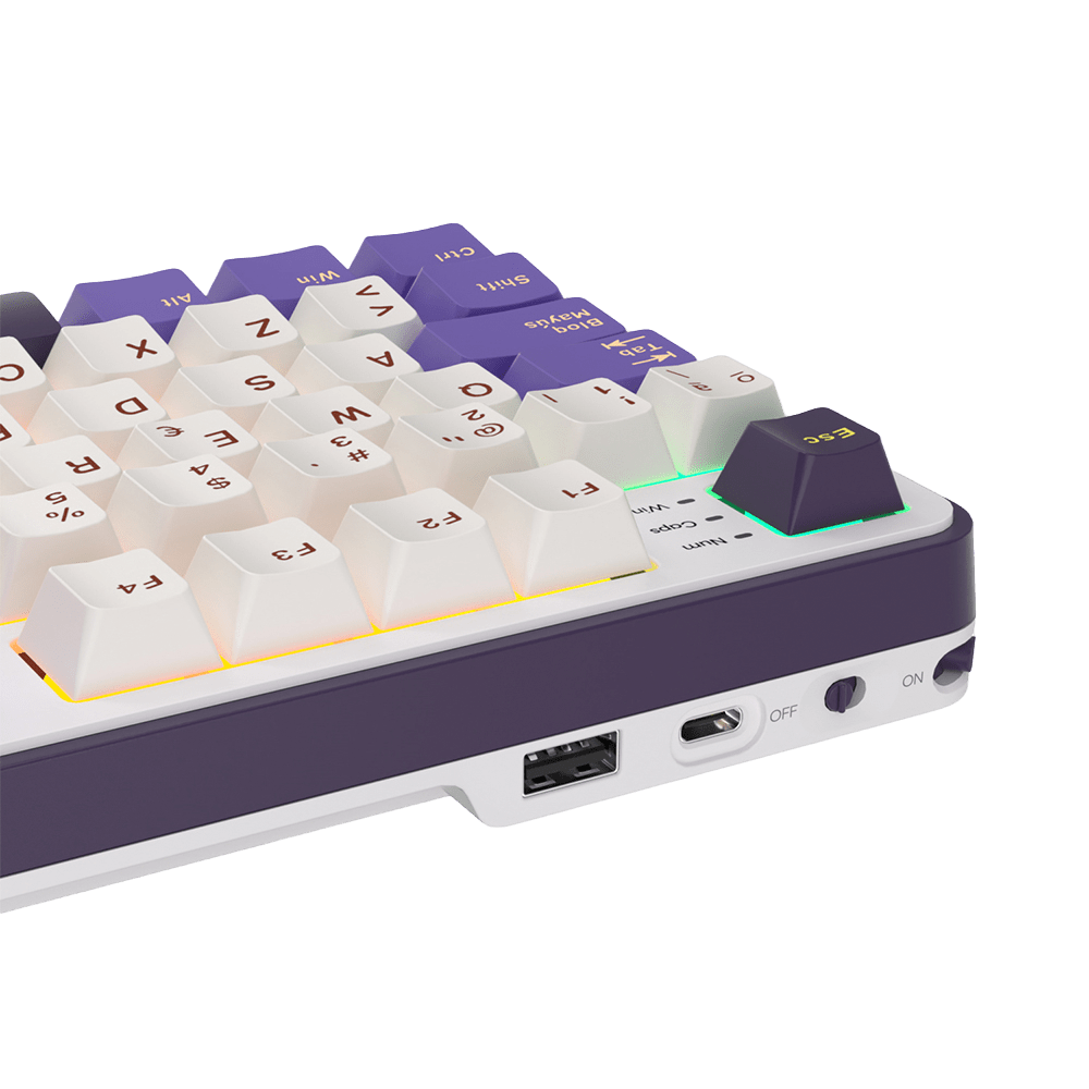 TECLADO MECANICO ROYAL KLUDGE RK-S98 INALAMBRICO 2.4 BT (SW-CHARTREUSE)-BLACKBERRY MOUSE5