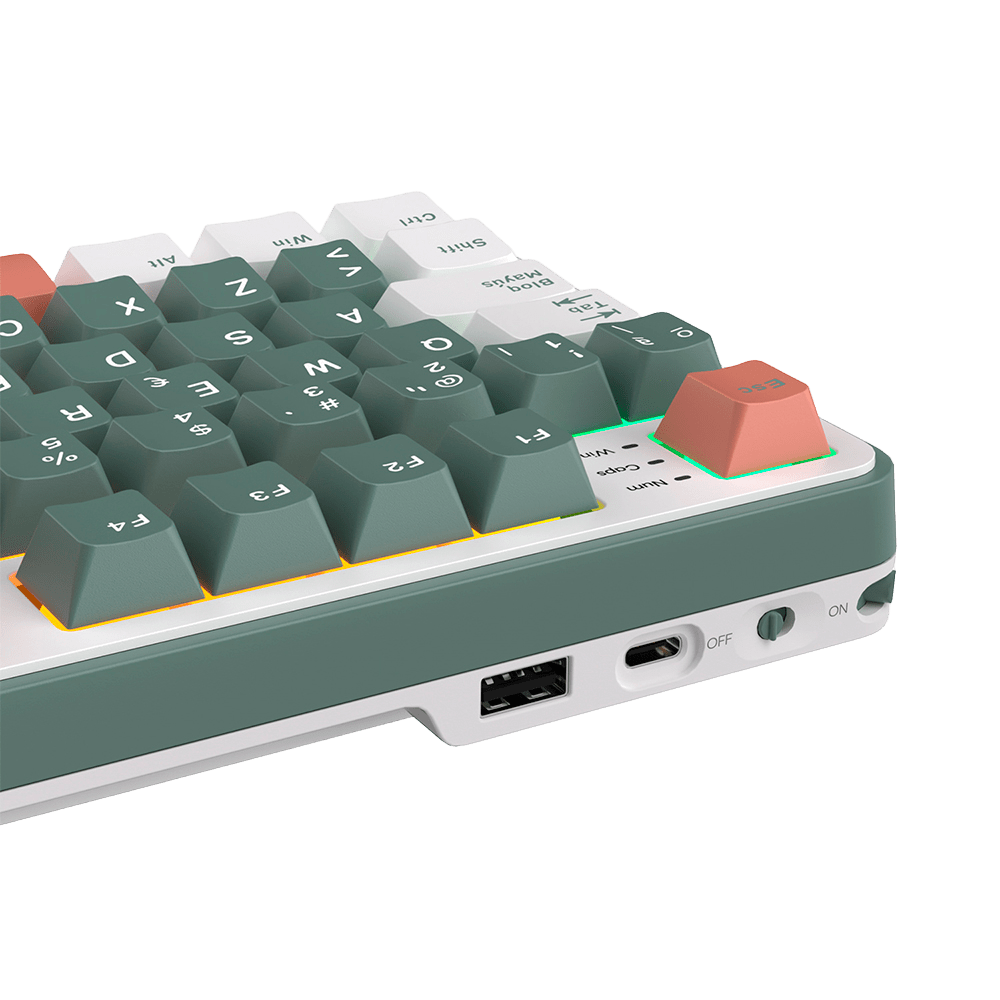 TECLADO MECANICO ROYAL KLUDGE RK-S98 INALAMBRICO 2.4 BT (SW-CREAMY)-CAMPING6