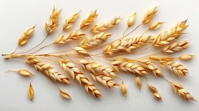 sola