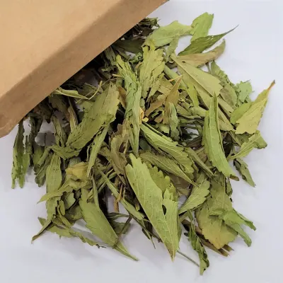 Stevia en Hojas