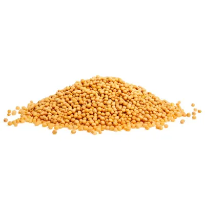 semilla de mostaza