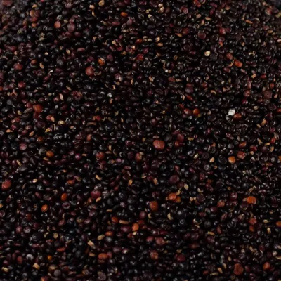 quinoa negra