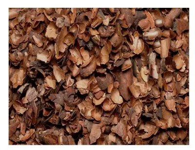 Cascara de Cacao