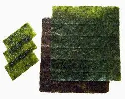ALGA NORI
