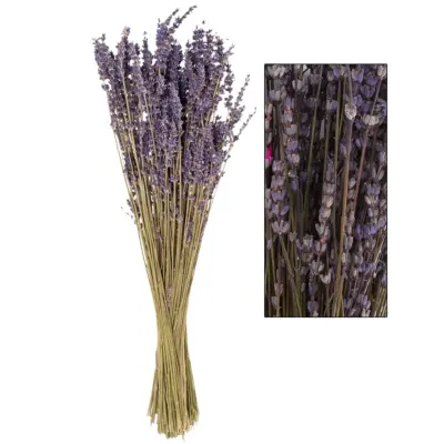 Ramo de Lavanda