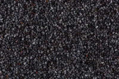 Semilla de Amapola Gigante