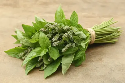 Ramo de Albahaca