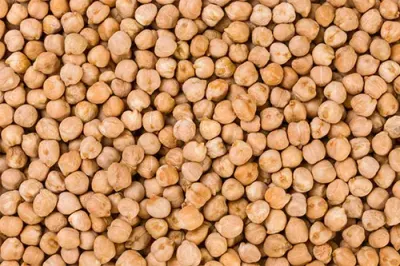 Garbanzo sin Piel - PARTIDO