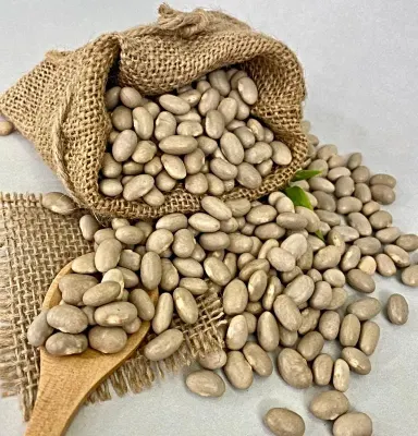 Poroto Tortola Terminado