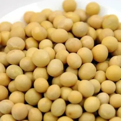 Poroto Soya