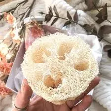 Petalo de Luffa