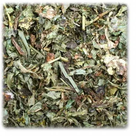 te de cardo mariano1