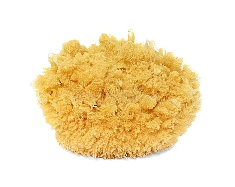 Esponja Ecologica 2 unidades - Freemet1