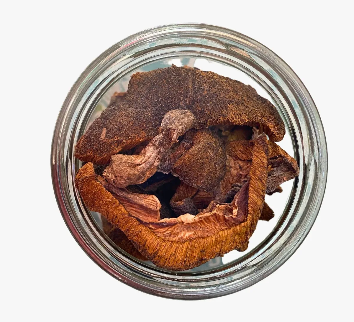 Callampas Deshidratadas1