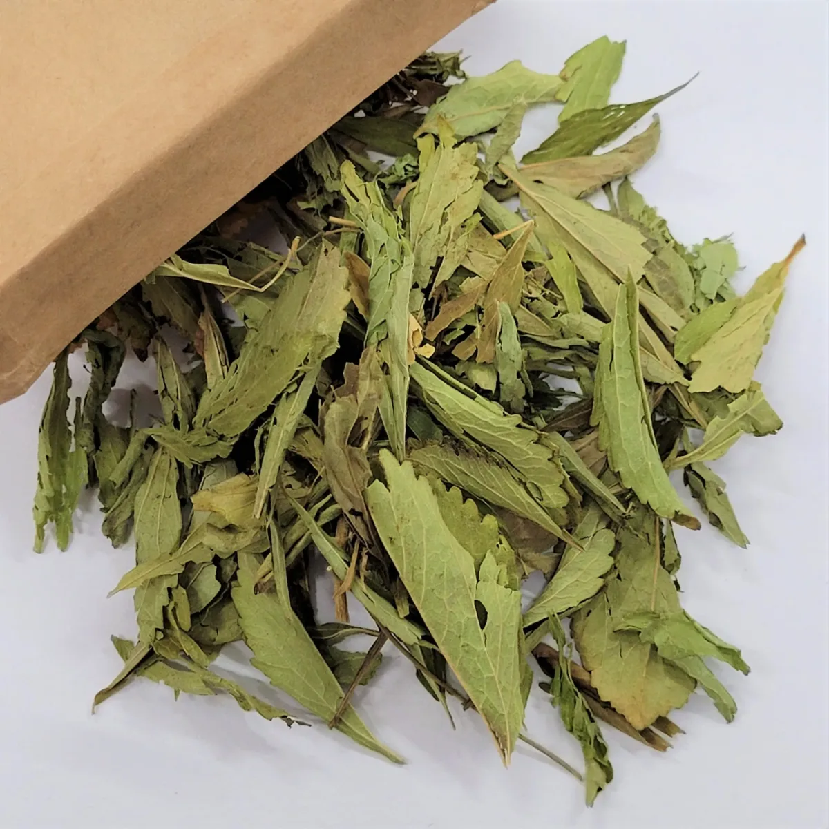 Stevia en Hojas1