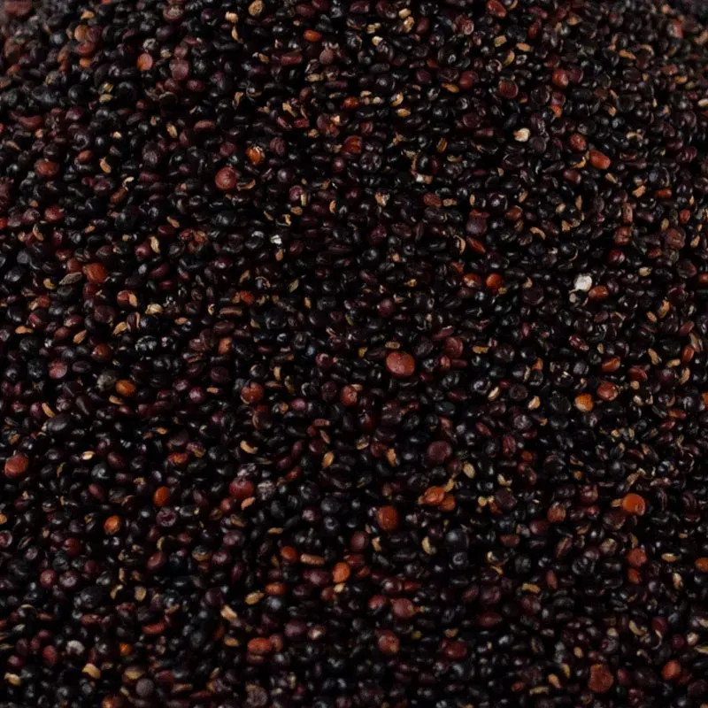 quinoa negra1