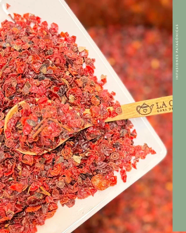 Rosa Mosqueta Infusión1