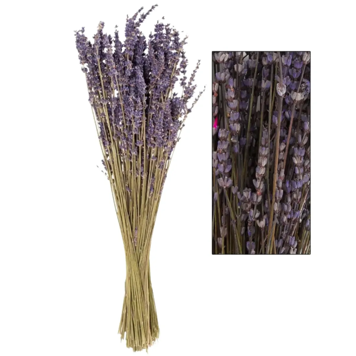 Ramo de Lavanda1