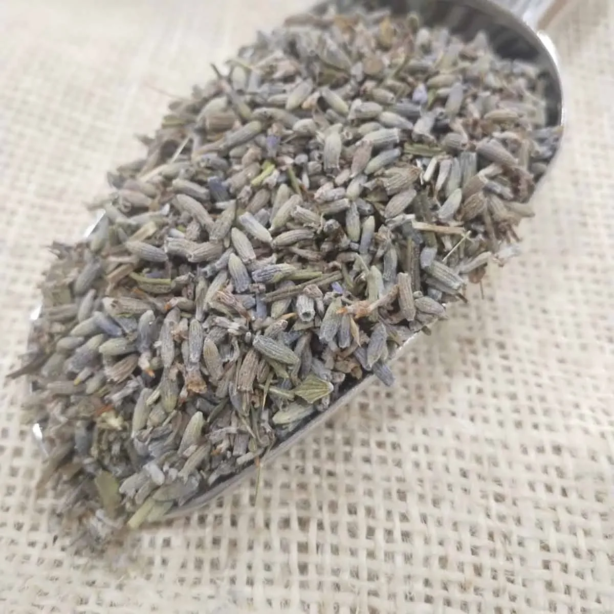 Balsamo de Lavanda a GRANEL1