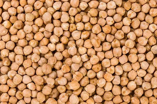 Garbanzo sin Piel - PARTIDO1