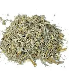 Hierba Ajenjo1
