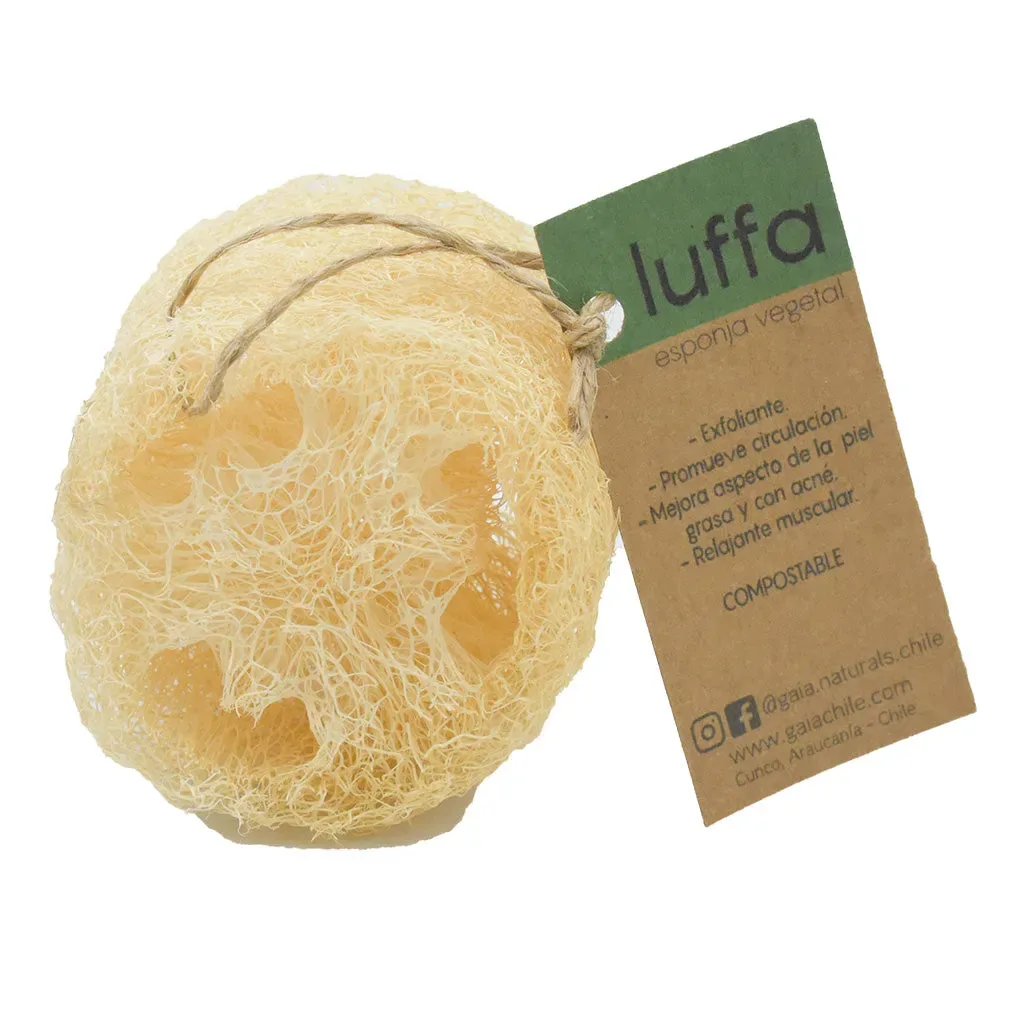 Luffa Esponja - Trozo1