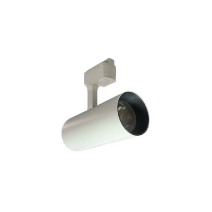 FOCO RIEL BLANCO 30W 3000K1