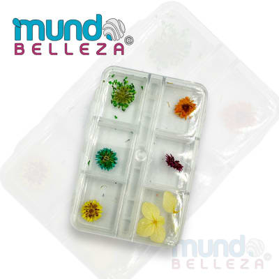 NATURALEZA MUERTA X61