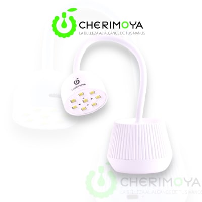 CHERIMOYA  LAMPARA FLOR DE LOTO1