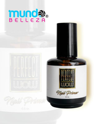 PERFECT PROFESIONAL PRIMER