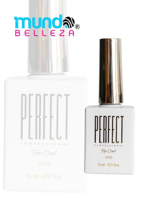 PERFECT PROFESIONAL TOP COAT NO WIPE STEEL1