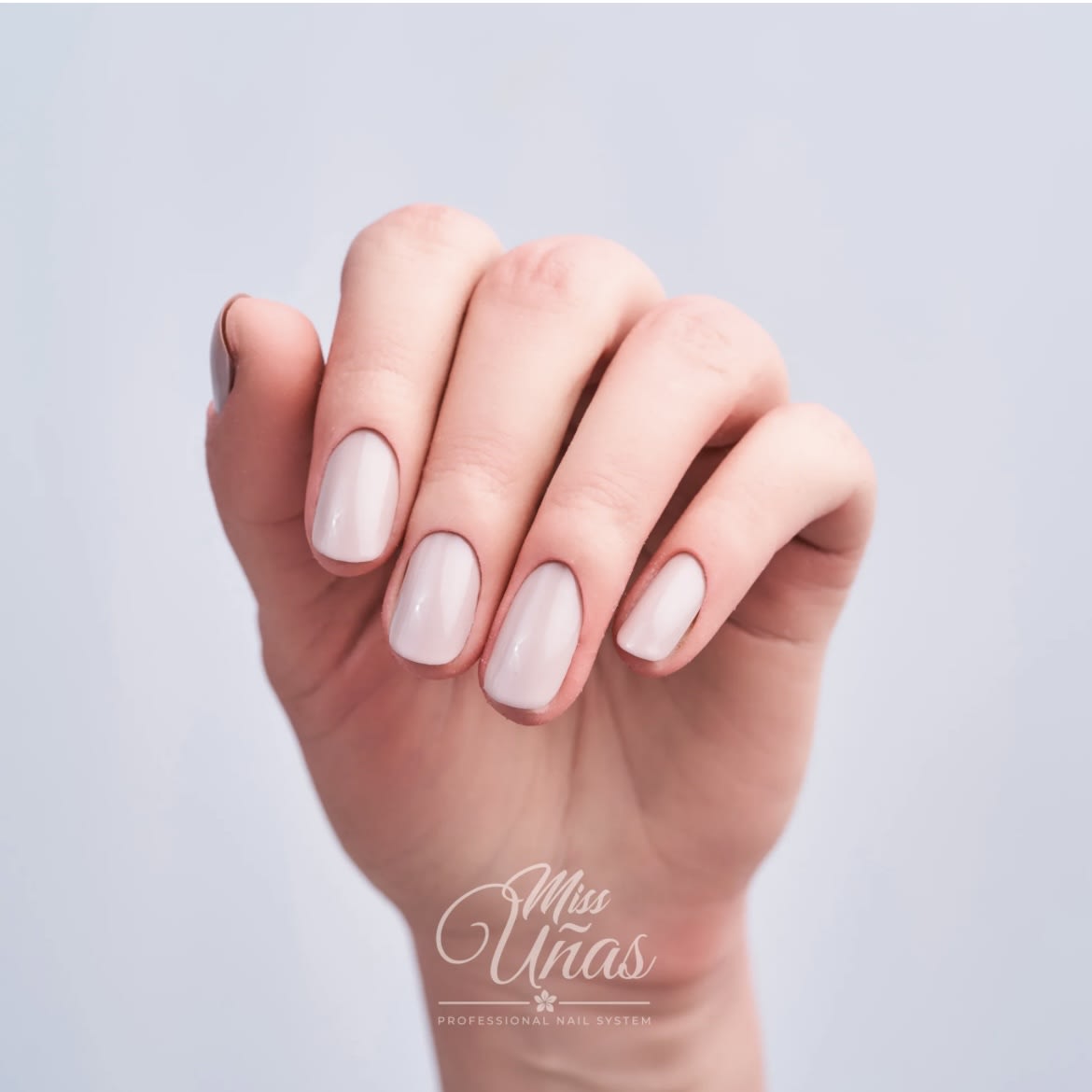 MISS UÑAS ESMALTE 10ML 262