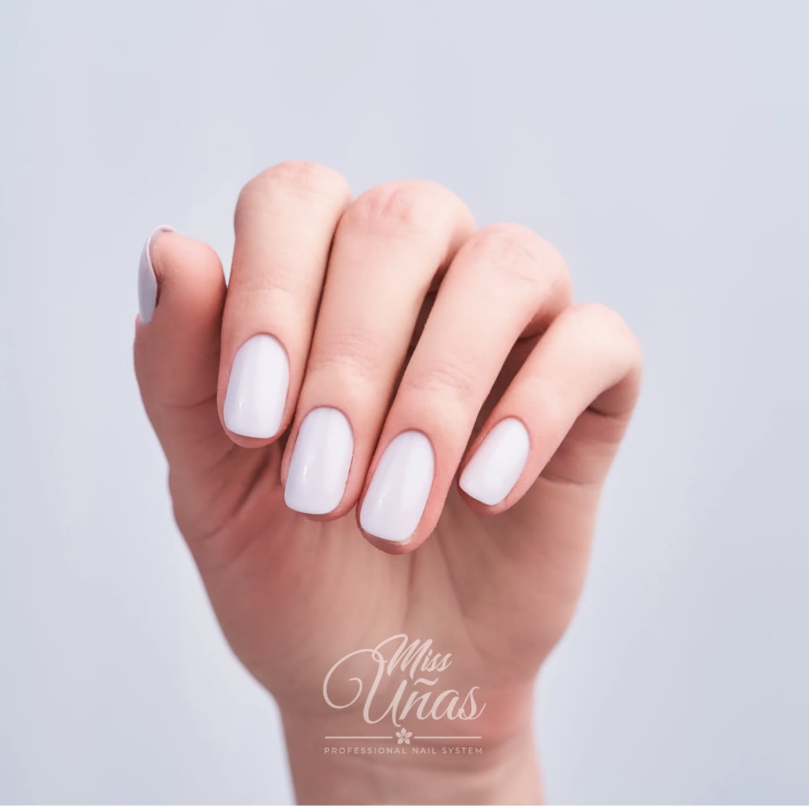 MISS UÑAS ESMALTE 10ML 312
