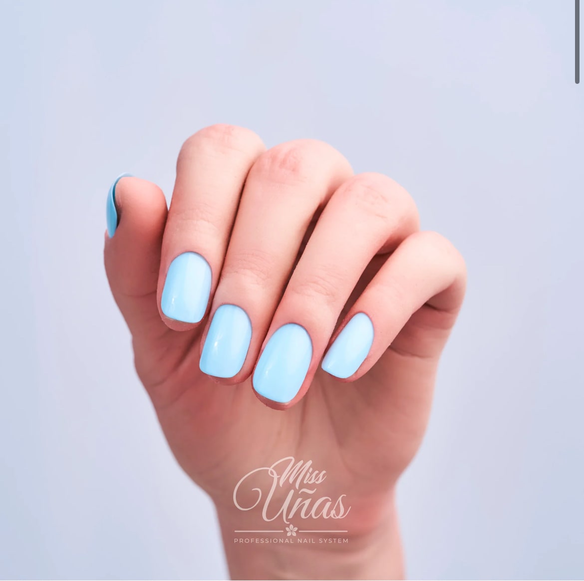 MISS UÑAS ESMALTE 10ML 442