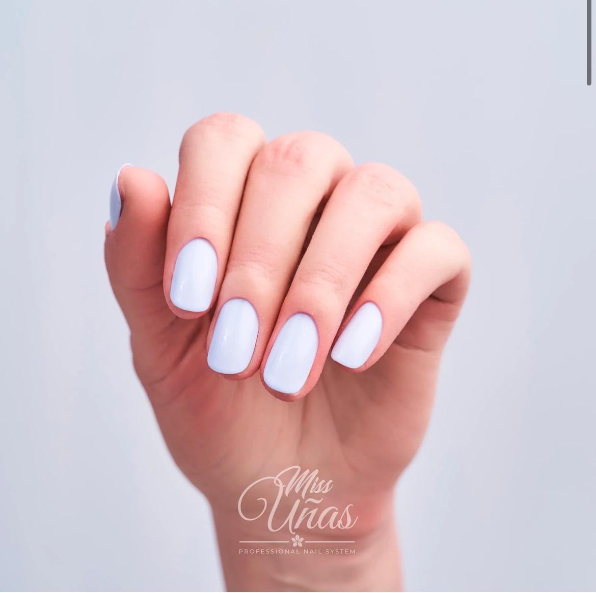 MISS UÑAS ESMALTE 10ML 492