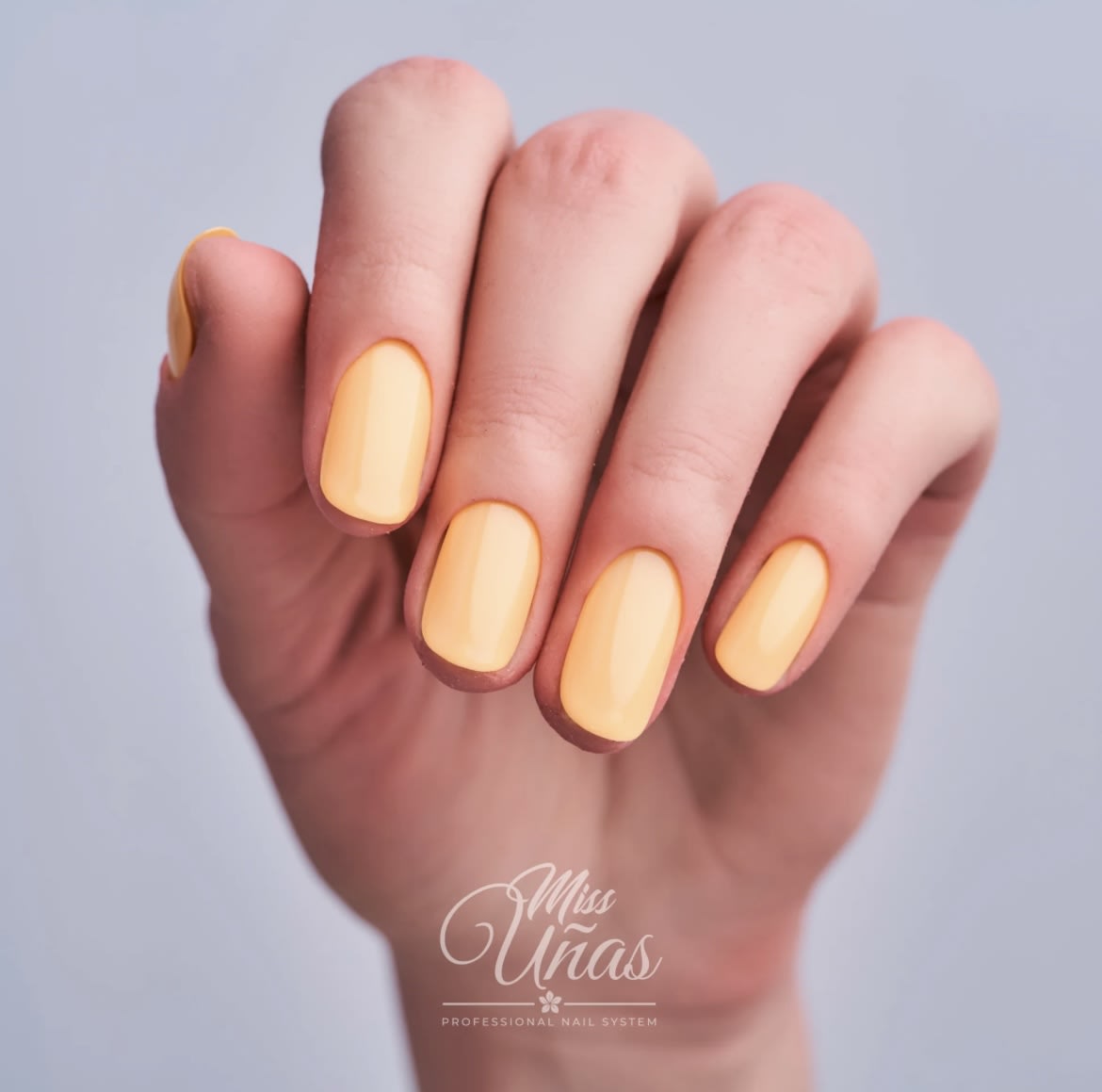 MISS UÑAS ESMALTE 10ML 622