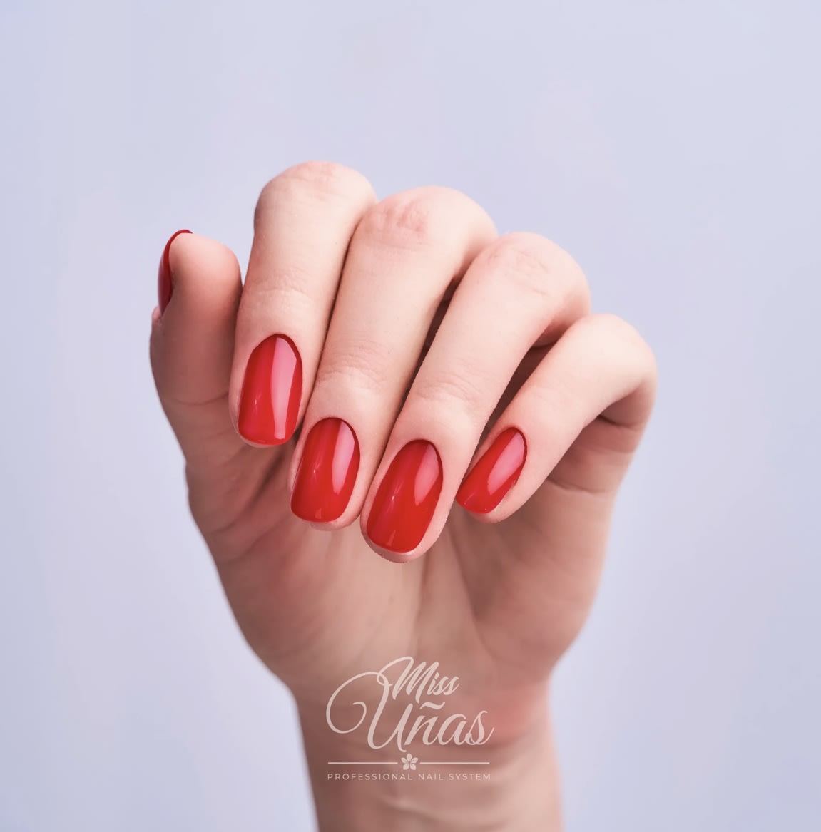 MISS UÑAS ESMALTE 10ML 812
